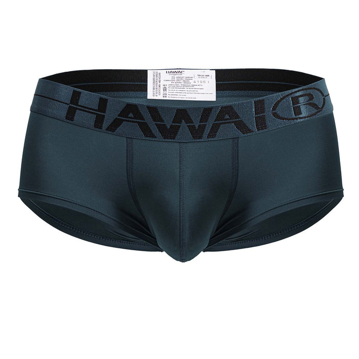 Clever Moda HAWAIR 41961 Microfiber Briefs Color Green
