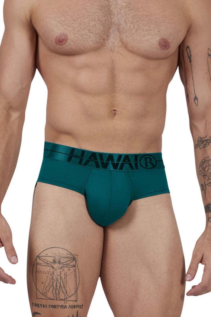 Clever Moda HAWAIR 41963 Microfiber Briefs Color Green