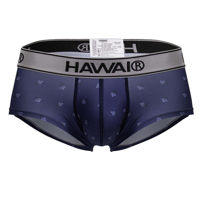Clever Moda HAWAIR 42480 Printed Microfiber Briefs Color Blue