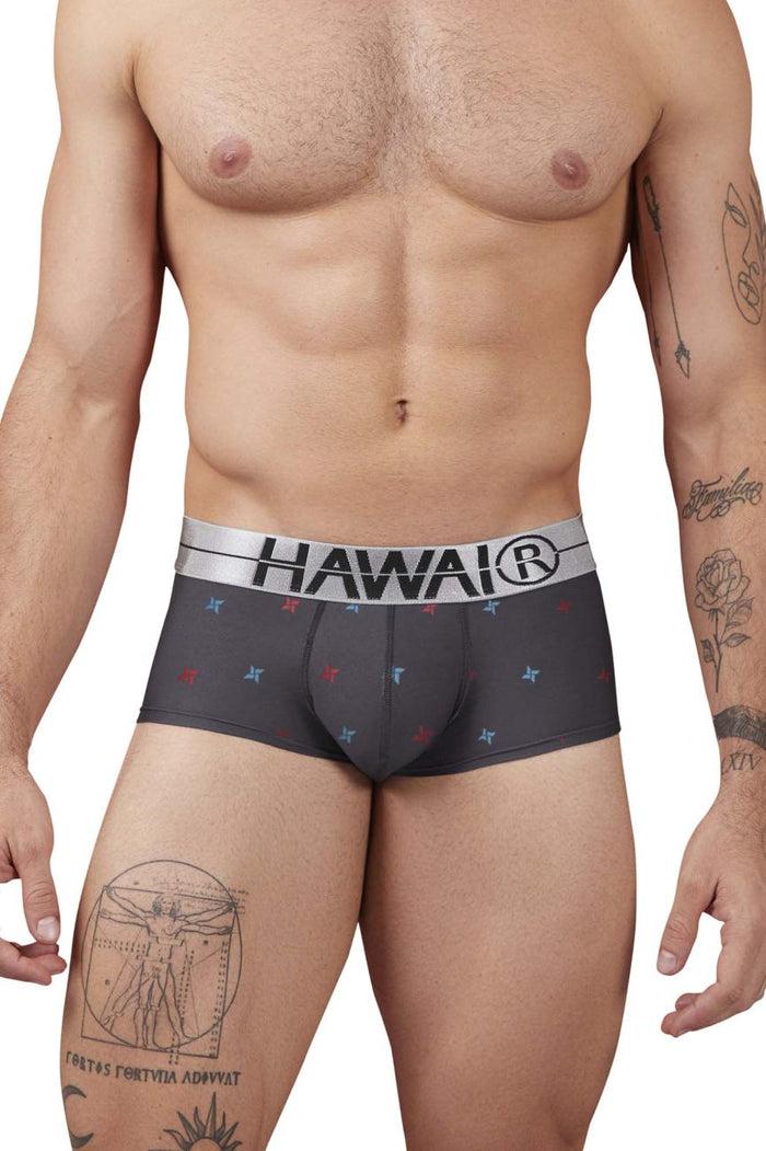 Clever Moda HAWAIR 42530 Printed Microfiber Briefs Color Gray