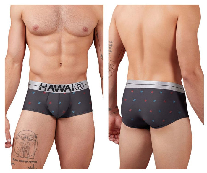 clever moda HAWAIR 42530 Printed Microfiber Briefs Color Gray