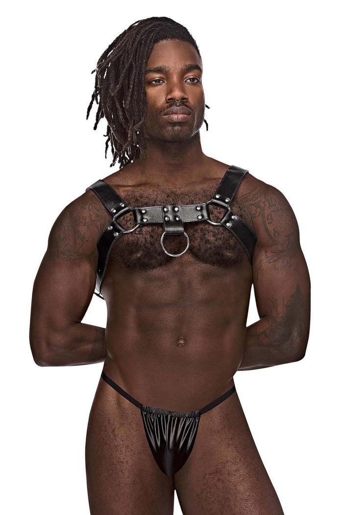 Clever Moda Male Power 590-266 Leather Aries Harness Color Black