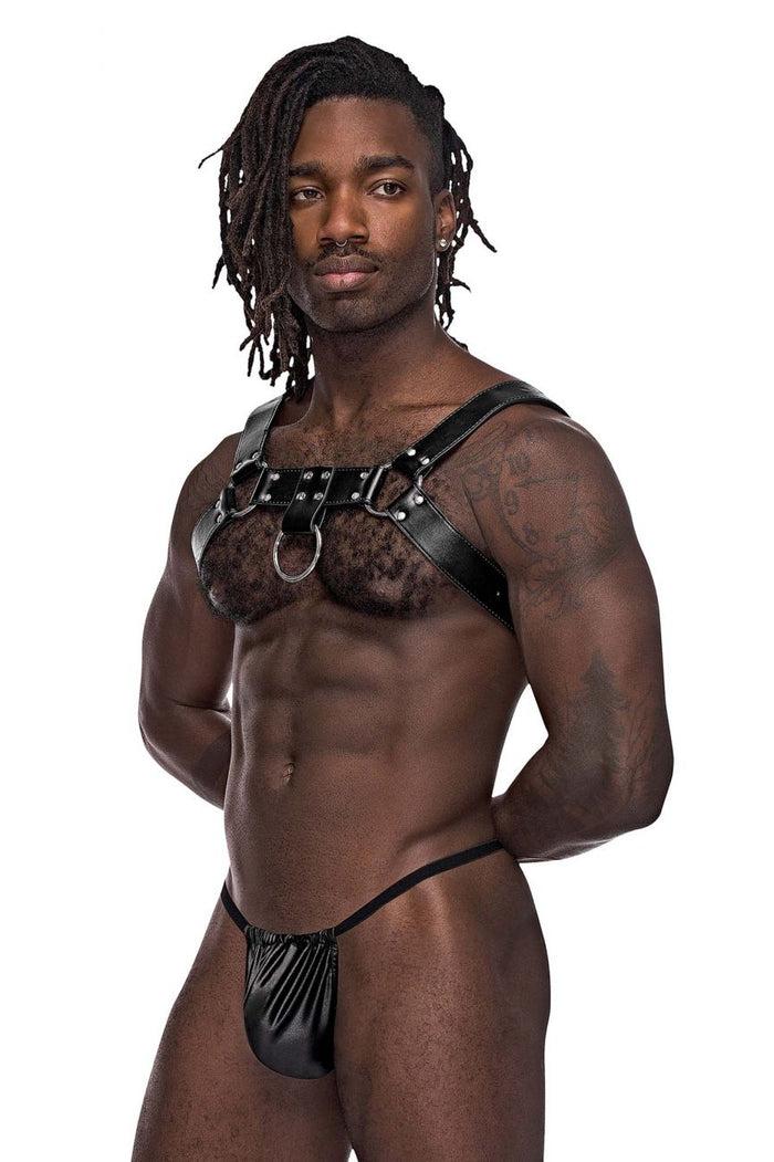 Clever Moda Male Power 590-266 Leather Aries Harness Color Black