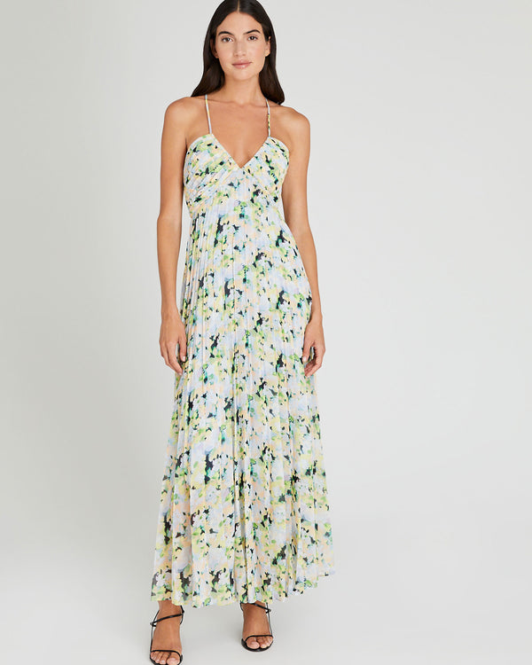 club monaco Floral Pleated Tie Back Maxi Dress Multi