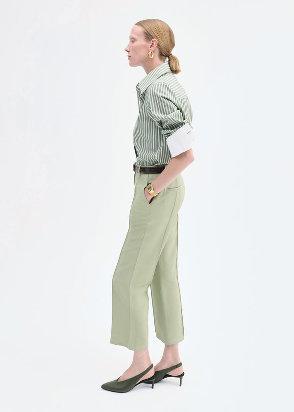 Co Fitted Shirt In Striped Poplin Green Multi