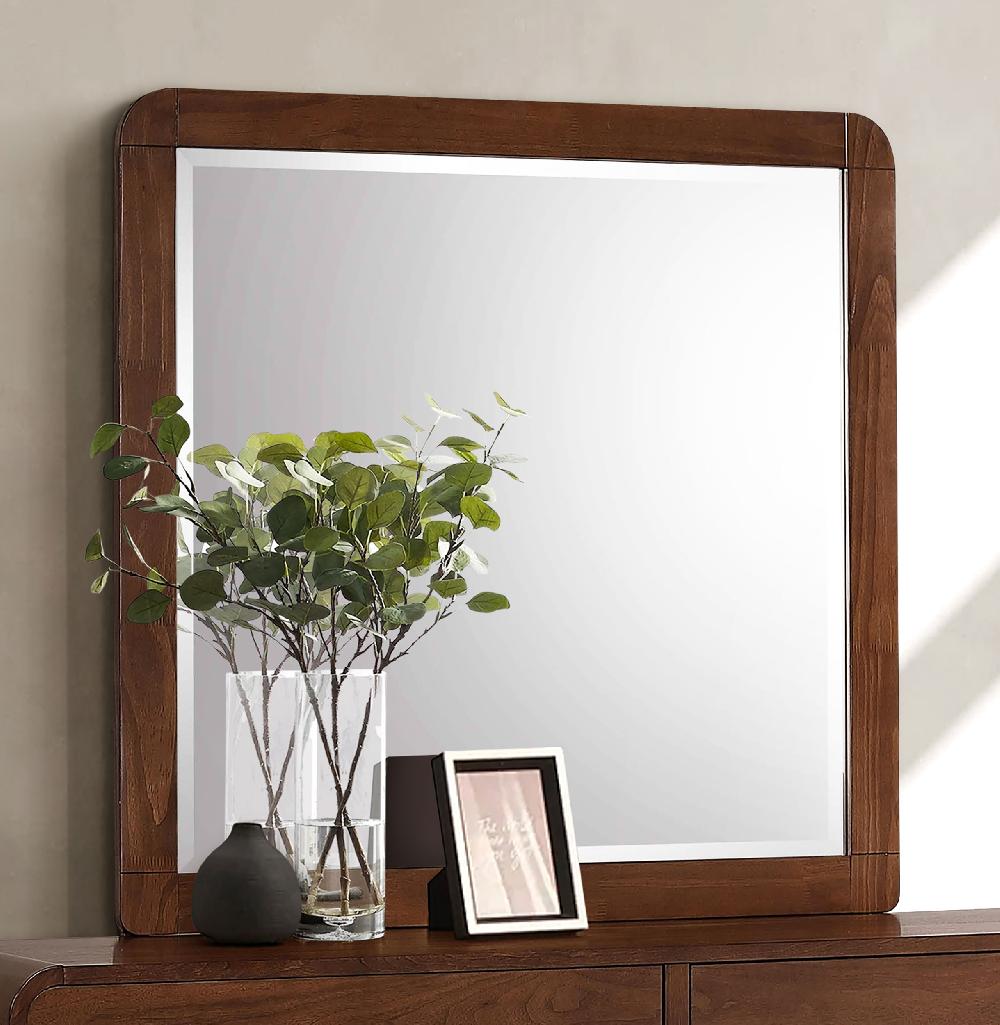 Coaster Robyn Dresser Mirror Dark Walnut