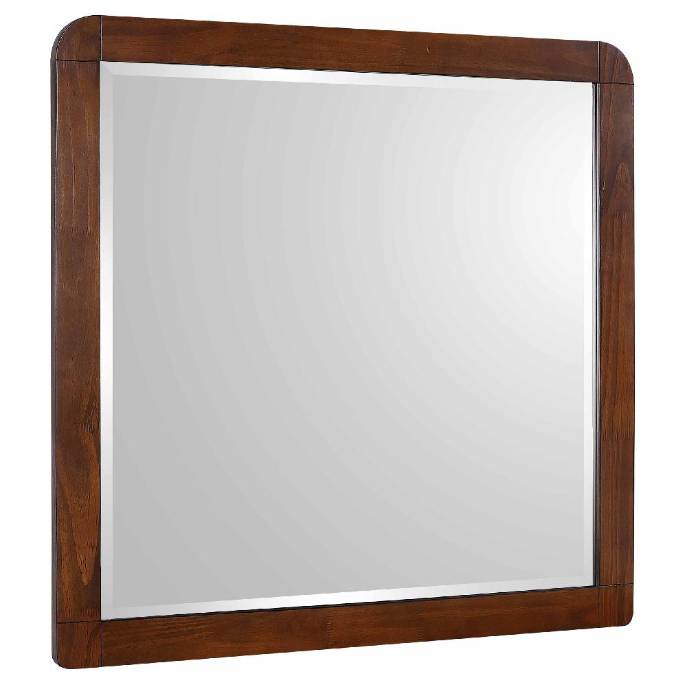 coaster Robyn Dresser Mirror Dark Walnut