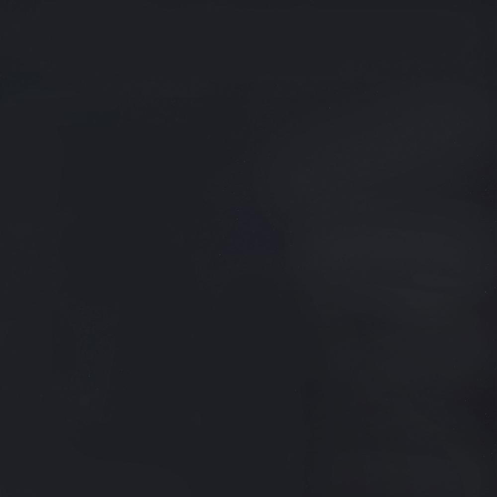 Coaster Haidera 4-Panel Room Divider Folding Screen Black Damask