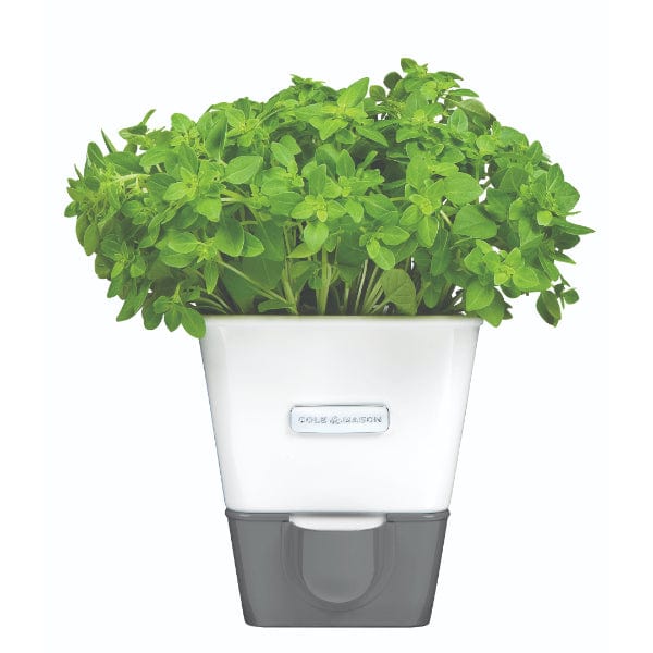 cole & mason Cole & Mason Burwell Self-Watering Potted Herb Keeper