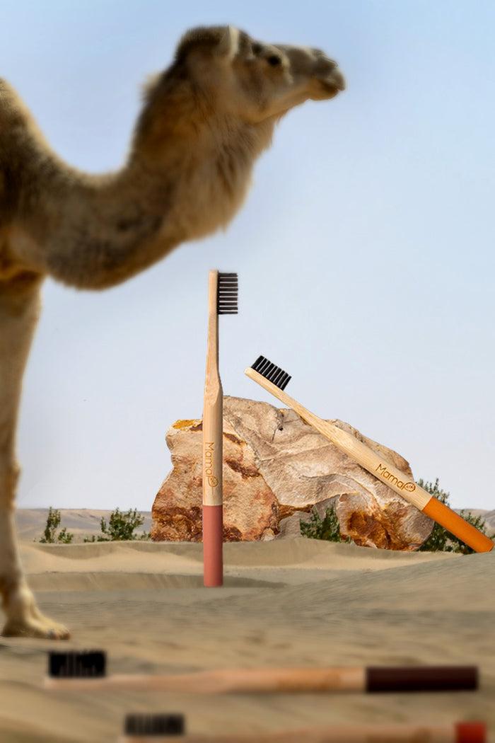 collina strada 5-pack Bamboo Toothbrush | MamaP