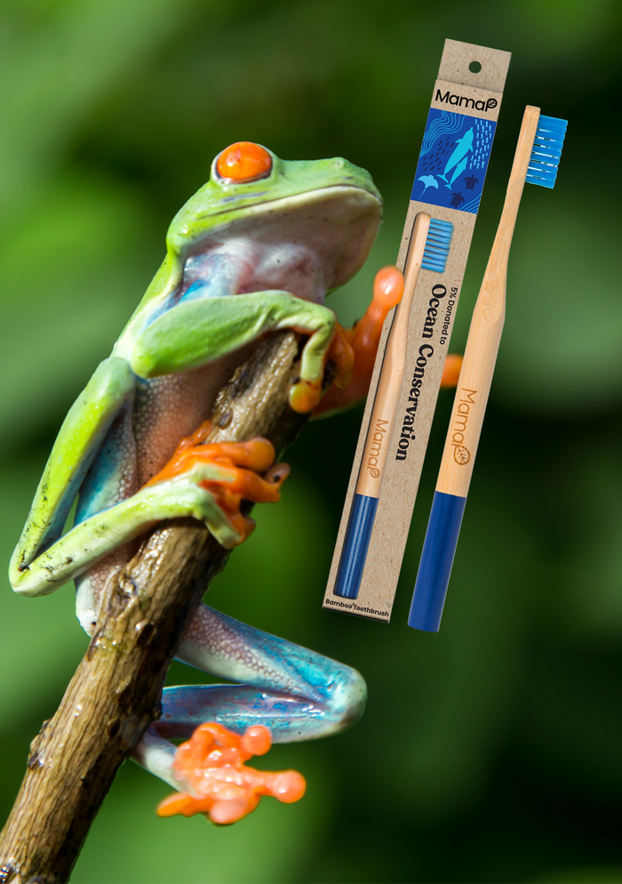 collina strada Blue Bamboo Toothbrush | MamaP