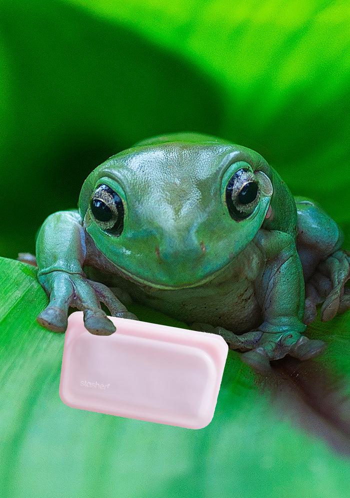 collina strada Reusable Pink Snack Bag | Stasher