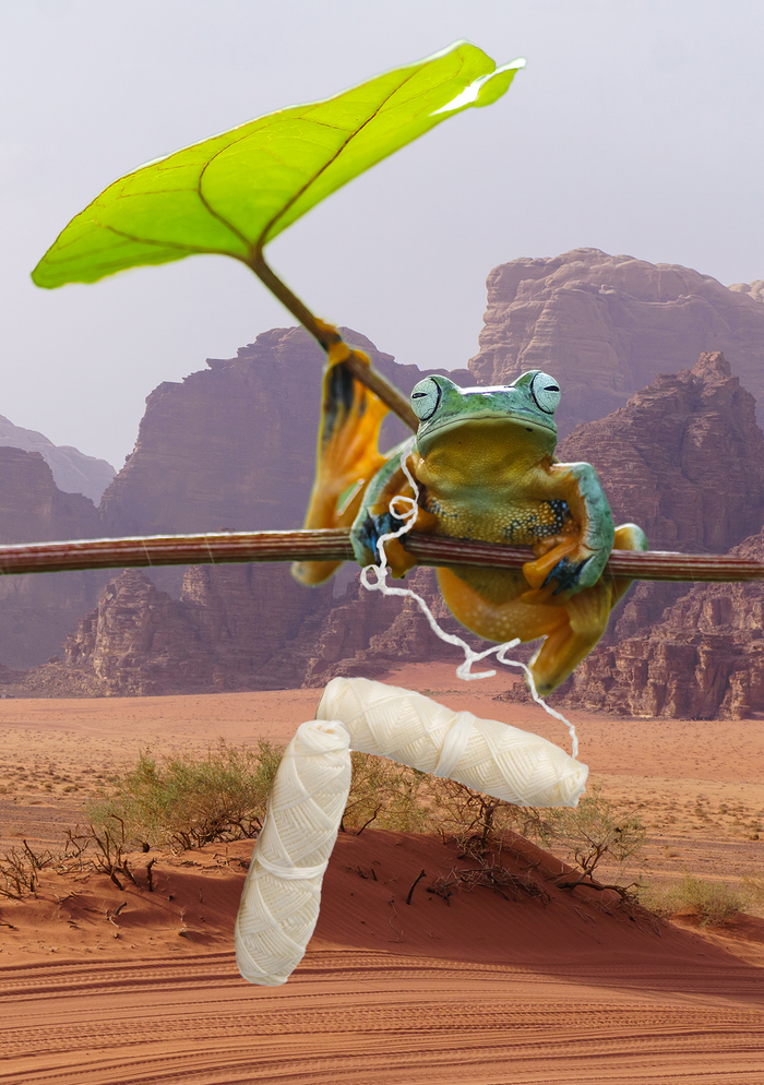 collina strada Vegan Dental Floss Refill | MamaP