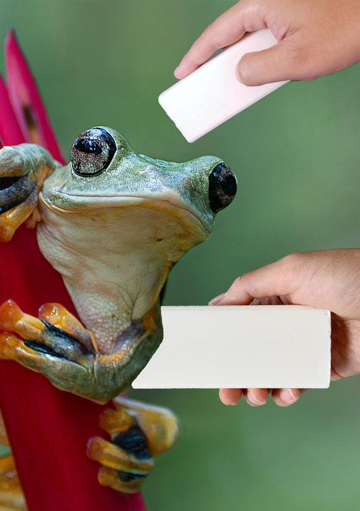 Collina Strada Vegan Stain Remover Bar | Kind Laundry