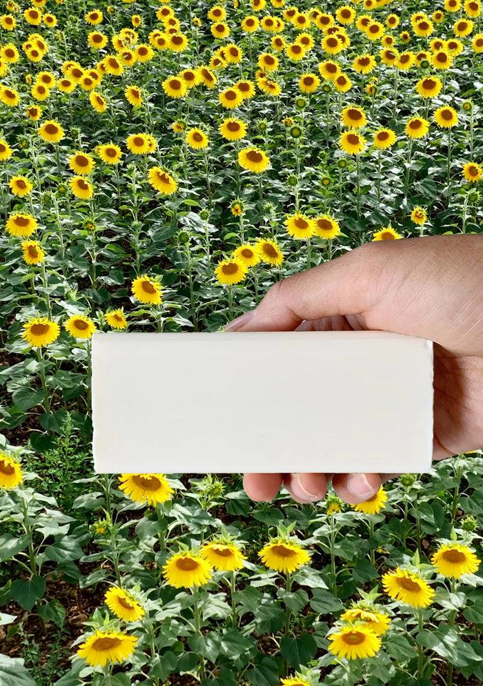 Collina Strada Vegan Stain Remover Bar | Kind Laundry