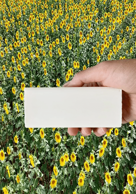 collina strada Vegan Stain Remover Bar | Kind Laundry