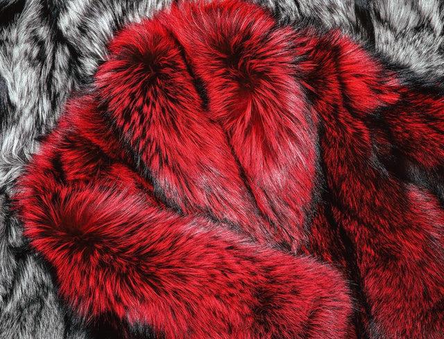 Confetti Confetti Silver Fox Coats ( Women’s )