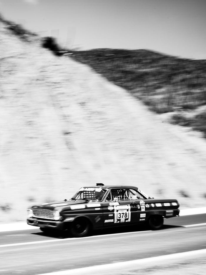 Connolly Amongst The Cactus By Jon Nicholson