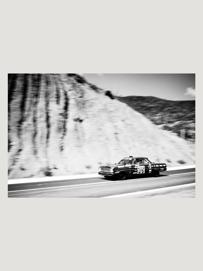 connolly Amongst The Cactus by Jon Nicholson