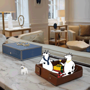 Connolly Tan Large Vide Poche