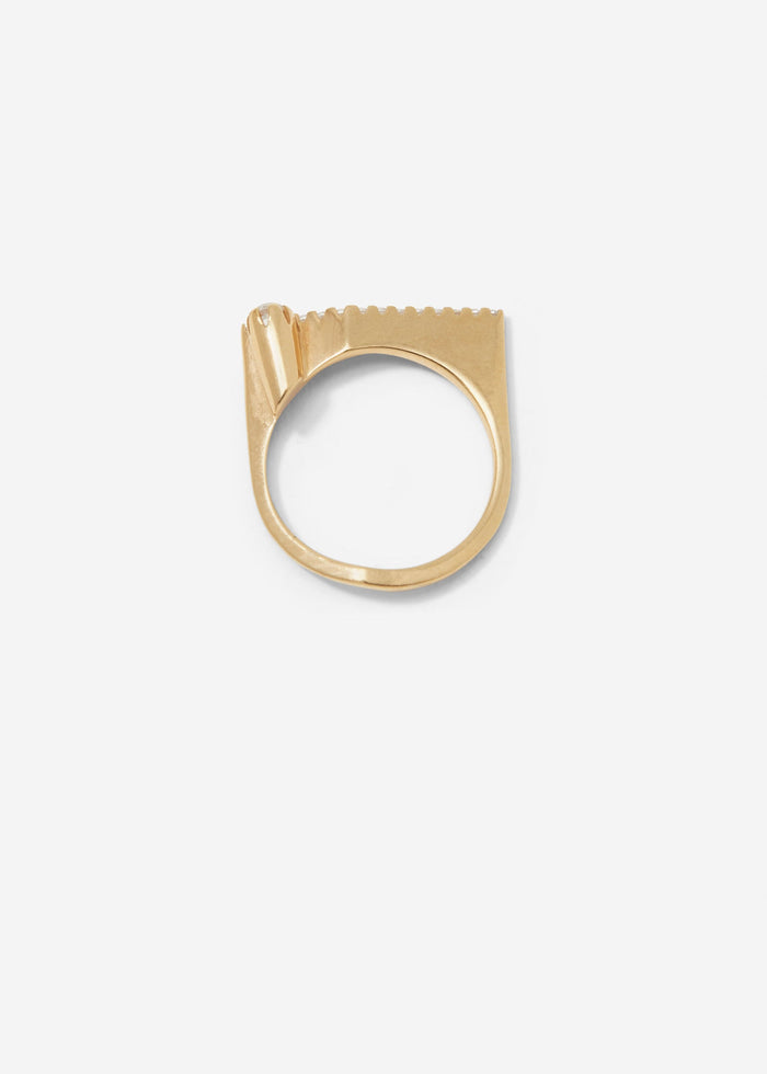 Cornelia Webb Slized Ring Floating