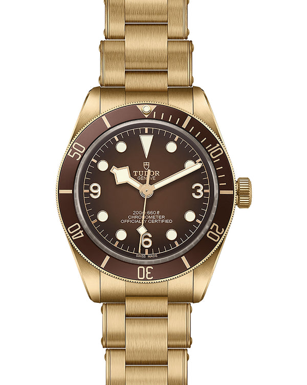 Cortina TUDOR Black Bay 58 Bronze "Boutique Edition"