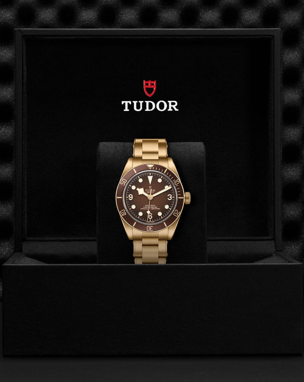 Cortina TUDOR Black Bay 58 Bronze "Boutique Edition"