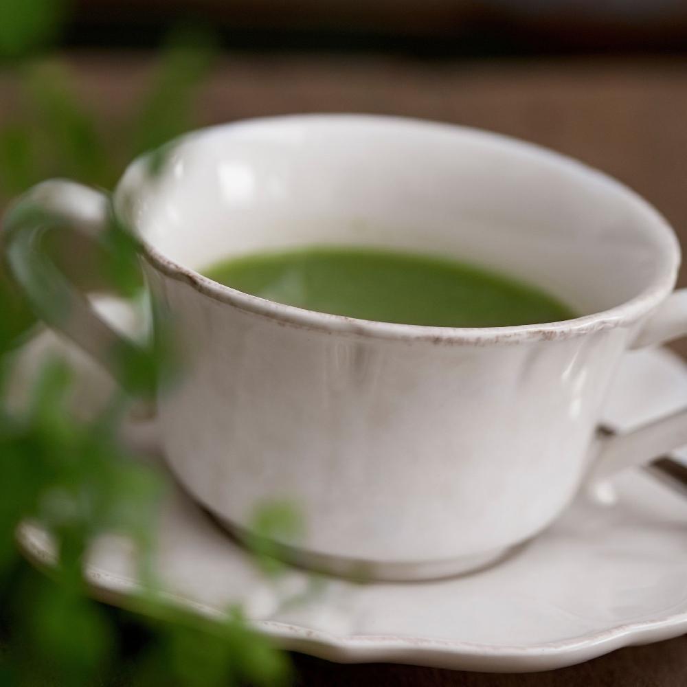 costa nova Consomme Cup and Saucer Impressions Casafina by COSTA NOVA