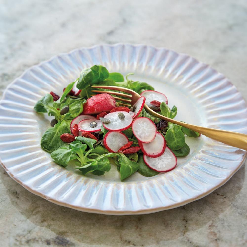 Costa Nova Dinner Plate Cristal