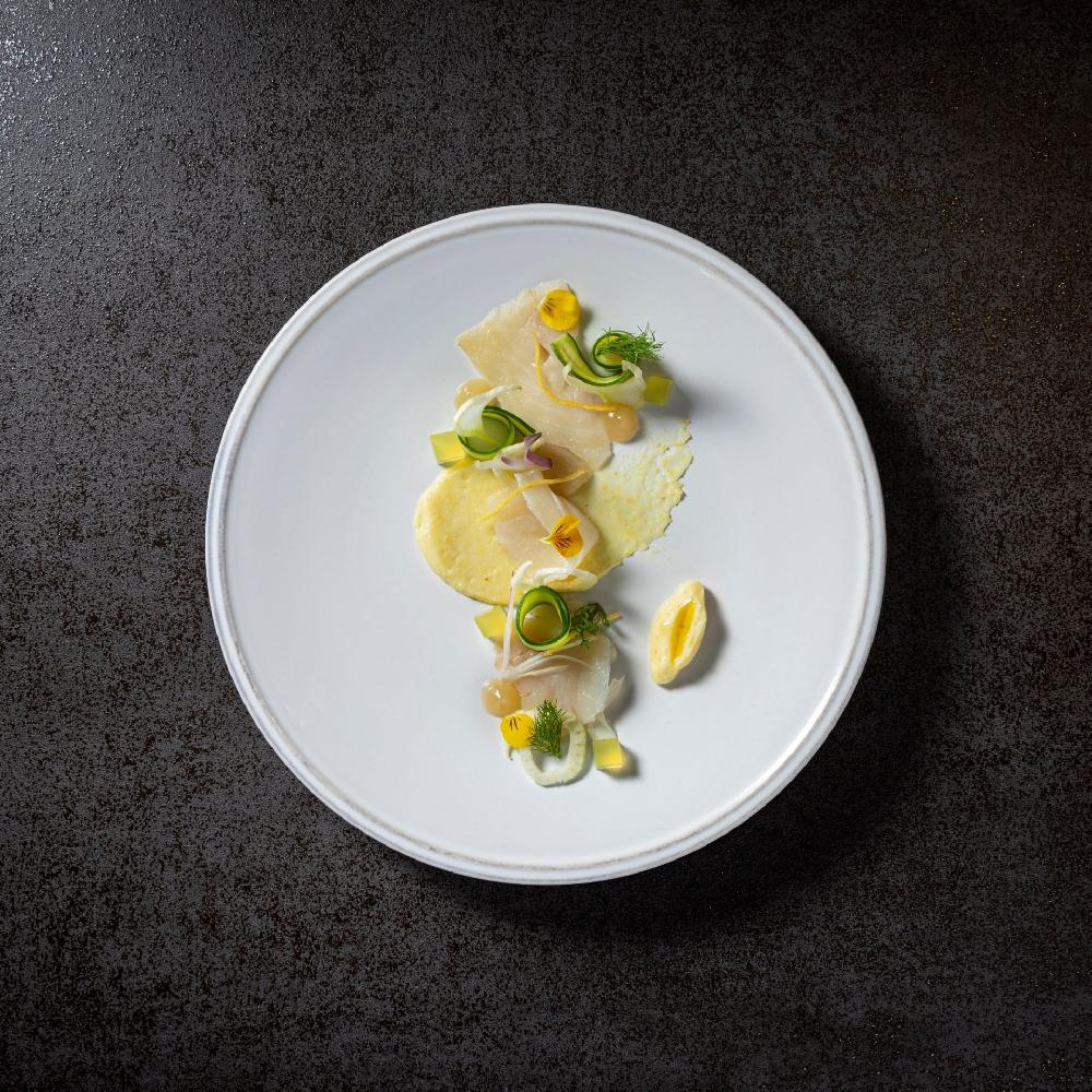 Costa Nova Dinner Plate Friso