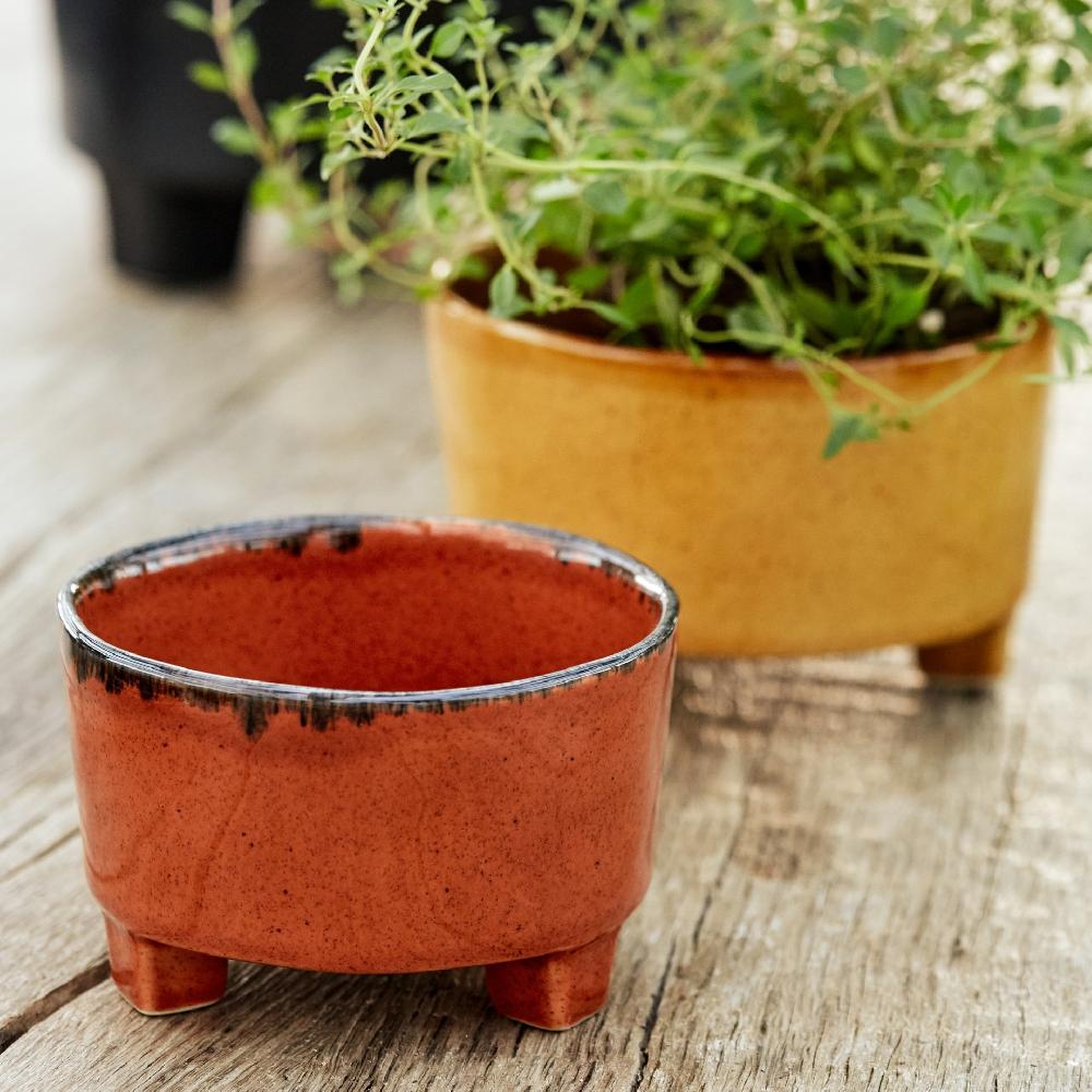 Costa Nova Footed Soup / Cereal Bowl Riviera