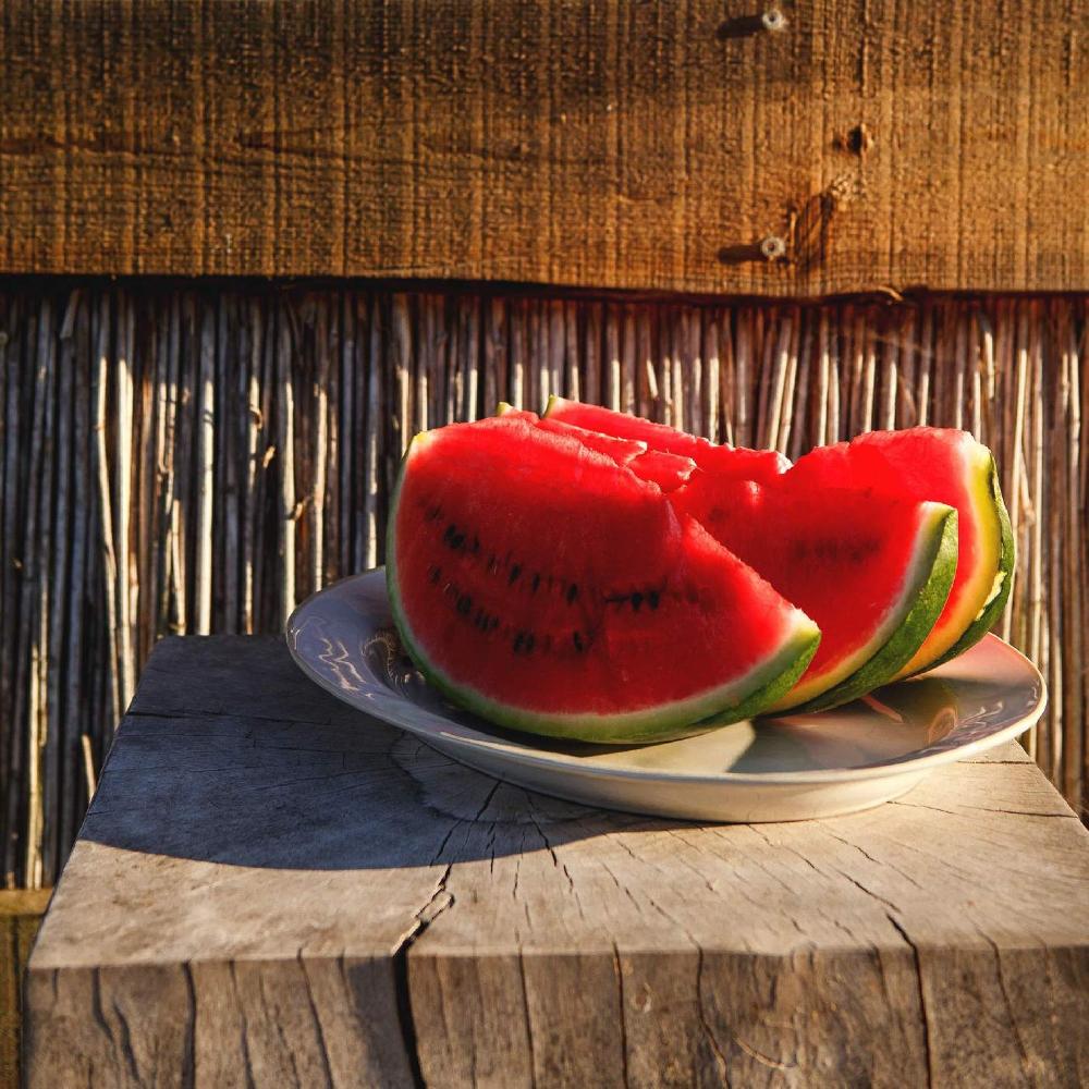 Costa Nova Large Oval Platter Beja