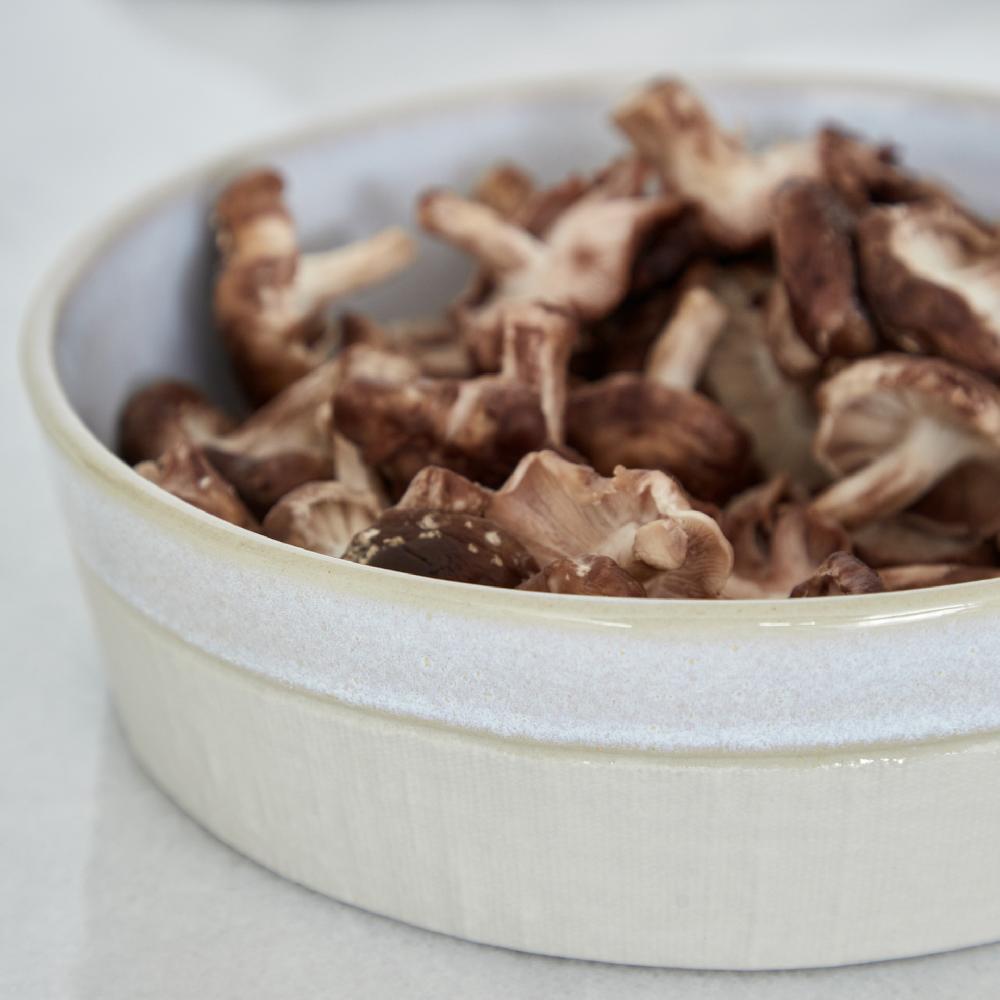 costa nova Low Bowl Nótos