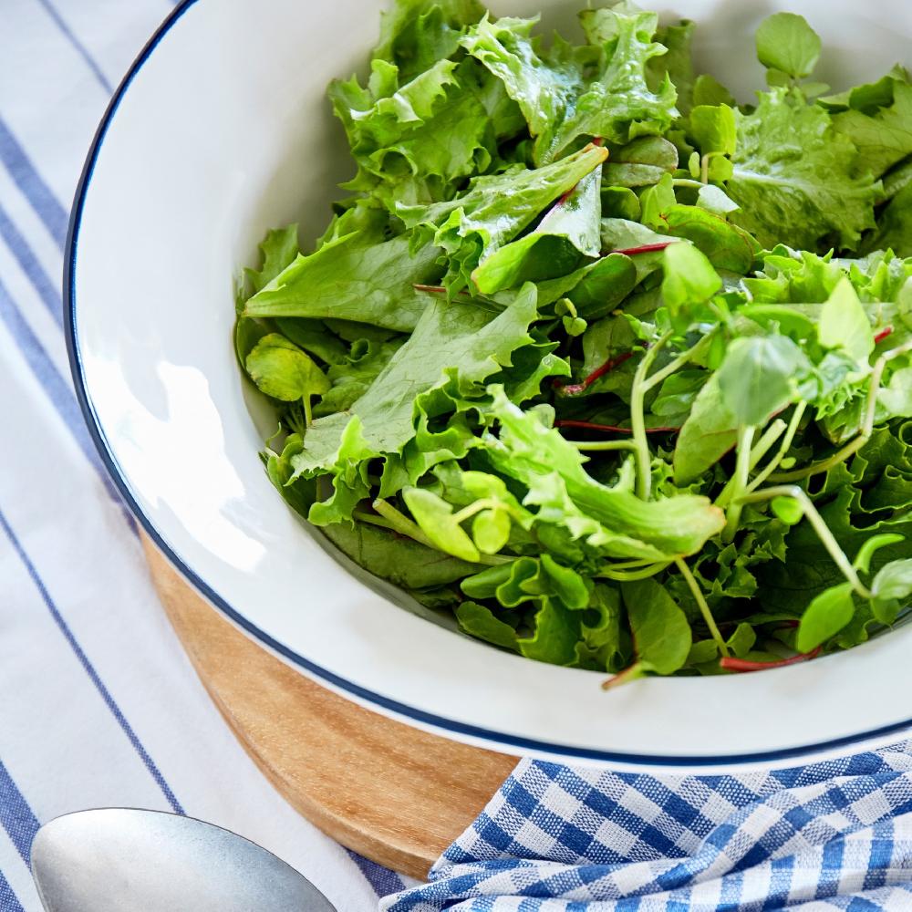 Costa Nova Serving Bowl Beja