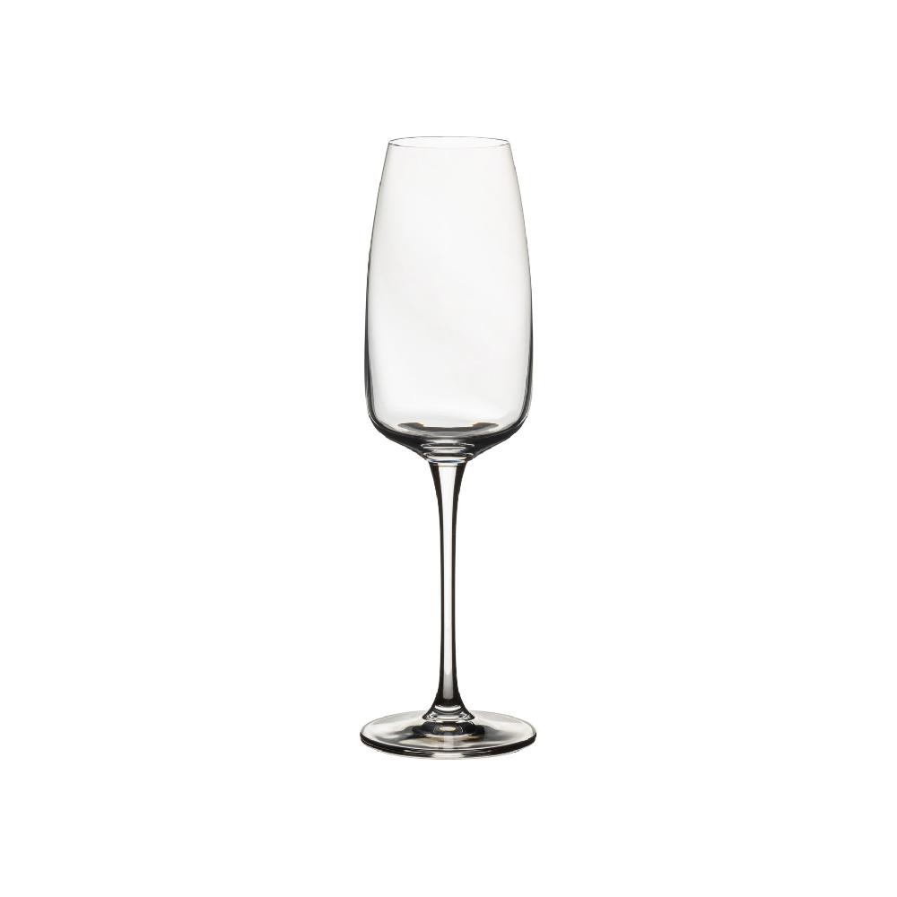 costa nova Set 6 Flute Glasses Isabel