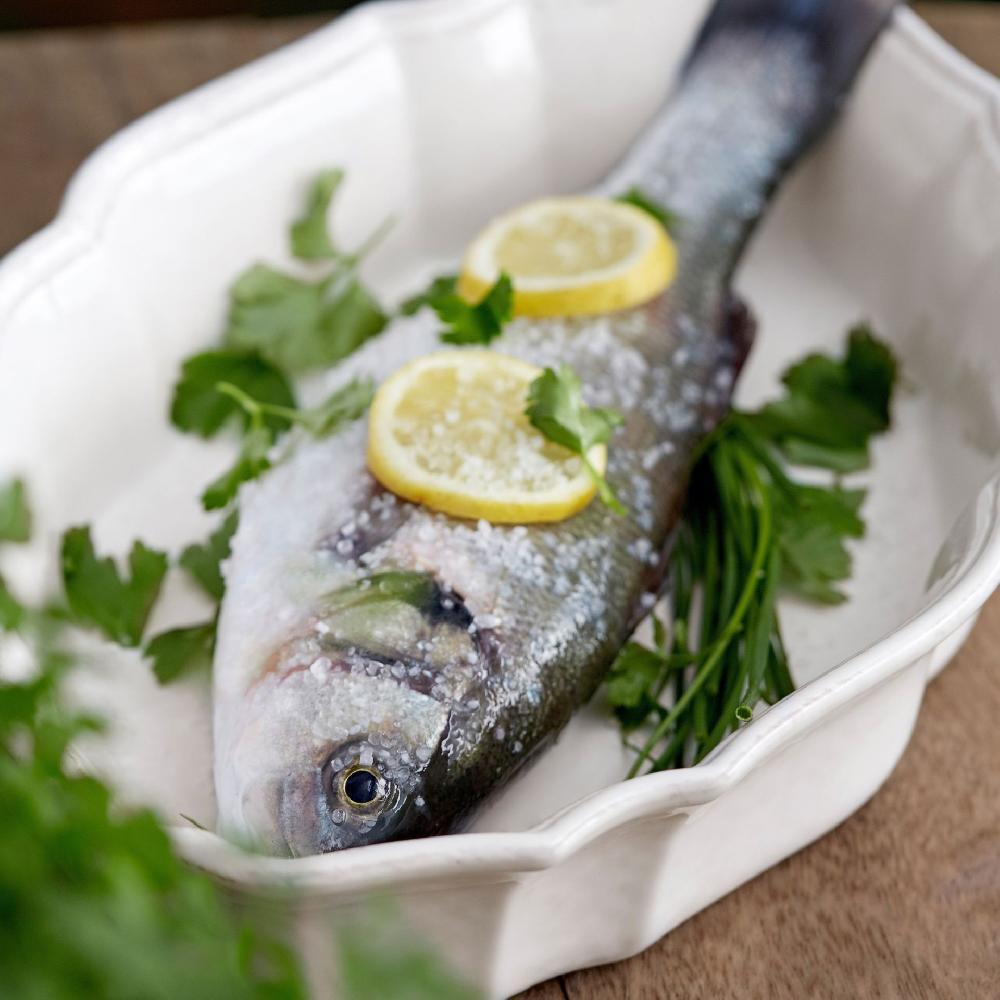 Costa Nova Oval Baker Impressions Casafina By COSTA NOVA