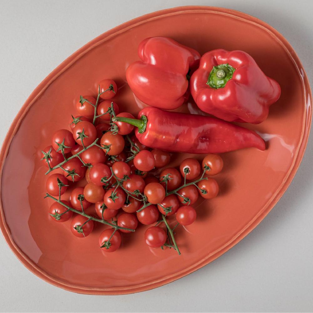 costa nova Oval Platter Fontana Casafina by COSTA NOVA