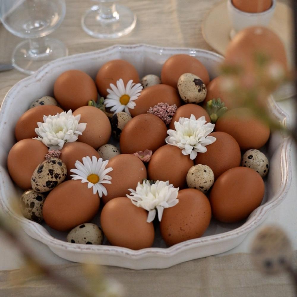 Costa Nova Pie Dish Impressions Casafina By COSTA NOVA