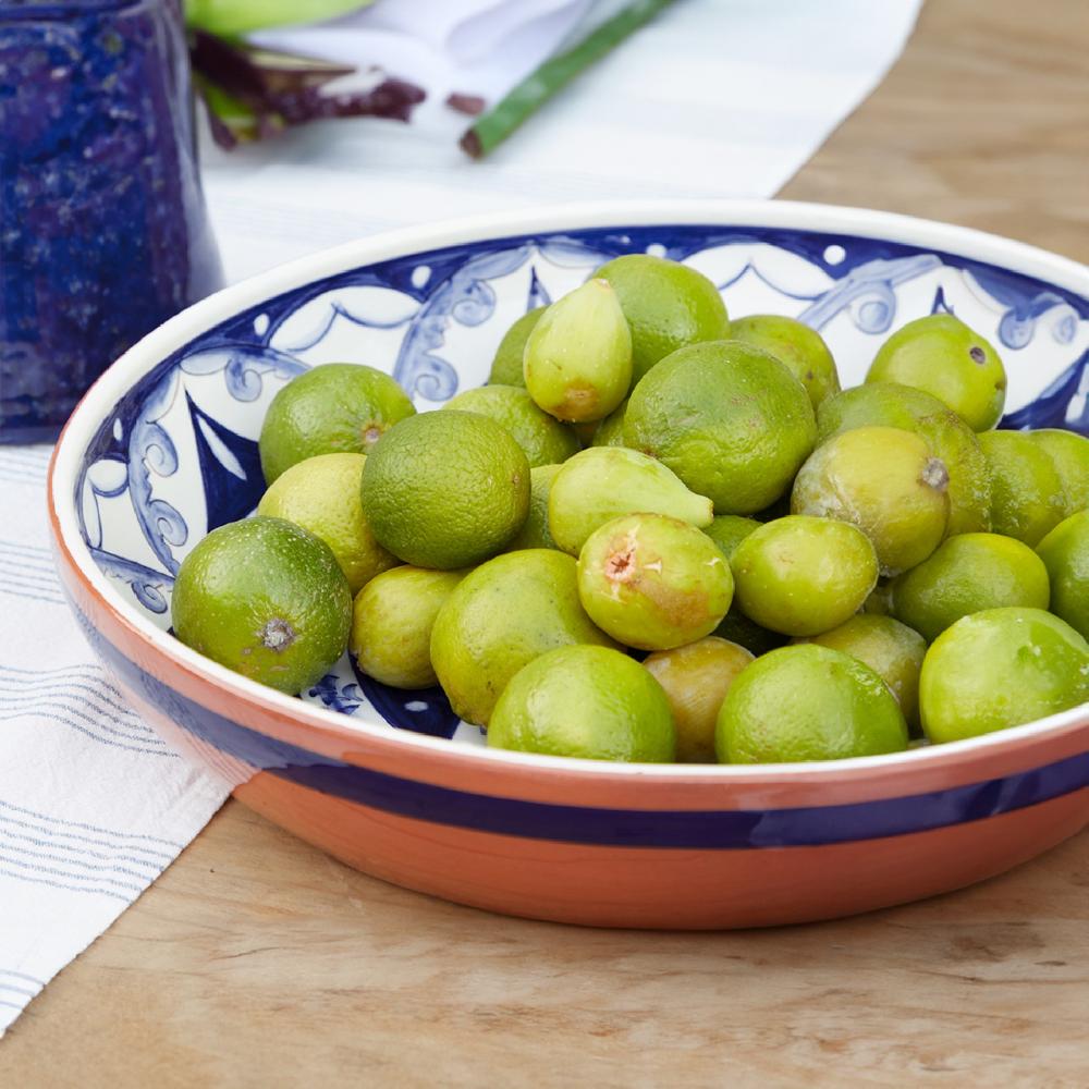 costa nova Round Centerpiece Alentejo Terracota Casafina by COSTA NOVA