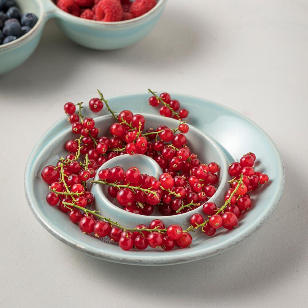 Costa Nova Spiral Appetizer Dish Cook & Host Casafina By COSTA NOVA