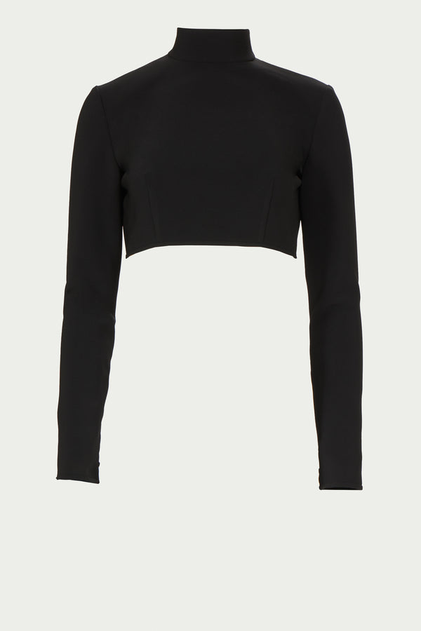 Costarellos Nelle Crepe Cropped Turtleneck Top