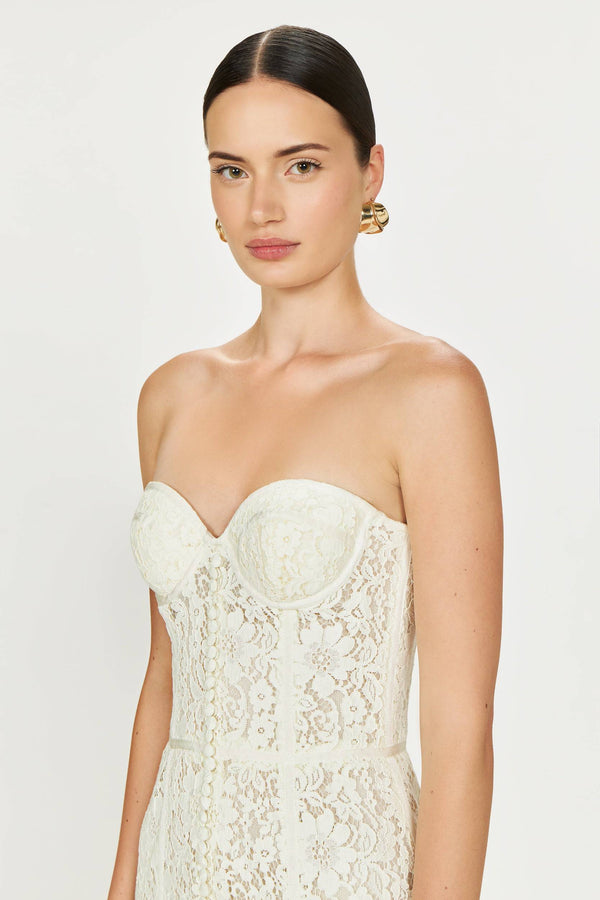 Costarellos Shara Corded Lace Dress