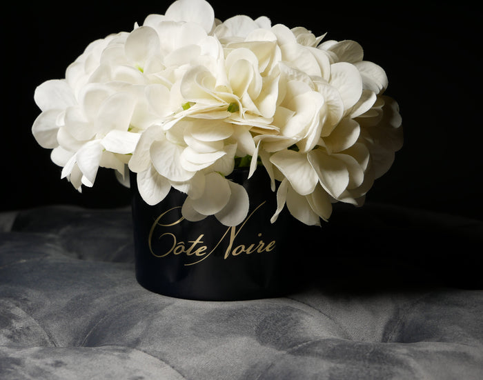 Côte Noire ** CLEARANCE ** Cote Noire Perfumed Natural Touch Hydrangeas - Ivory White In Navy Vase