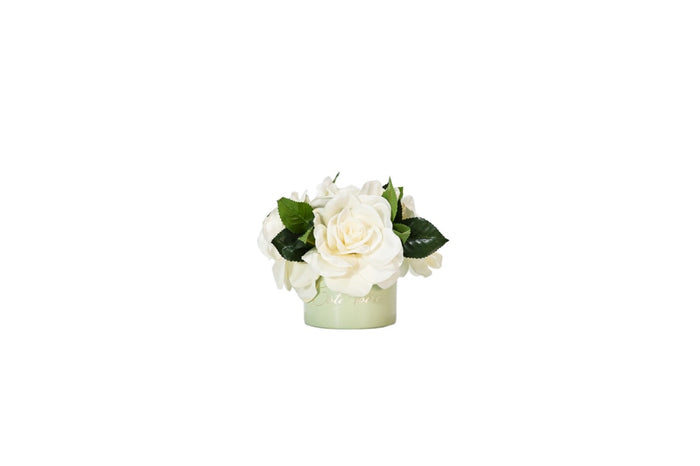 Côte Noire ** CLEARANCE ** Cote Noire Perfumed Natural Touch Ivory Gardenias In Green Vase - LS42