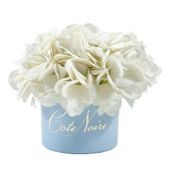 Côte Noire ** CLEARANCE ** Cote Noire Perfumed Natural Touch Ivory White Hydrangeas In Pastel Blue Vase - CCNH01