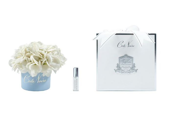 côte noire ** CLEARANCE ** Cote Noire Perfumed Natural Touch Ivory White Hydrangeas in Pastel Blue vase - CCNH01