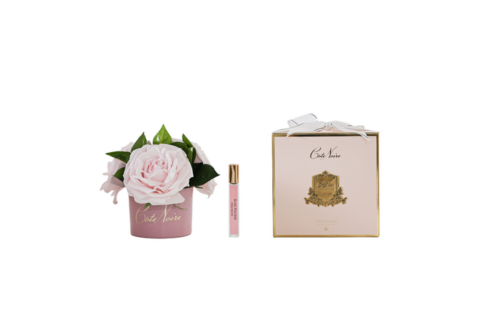 côte noire ** CLEARANCE ** Cote Noire Perfumed Natural Touch Tea Roses - French Pink in Pastel Pink Vase - LS43