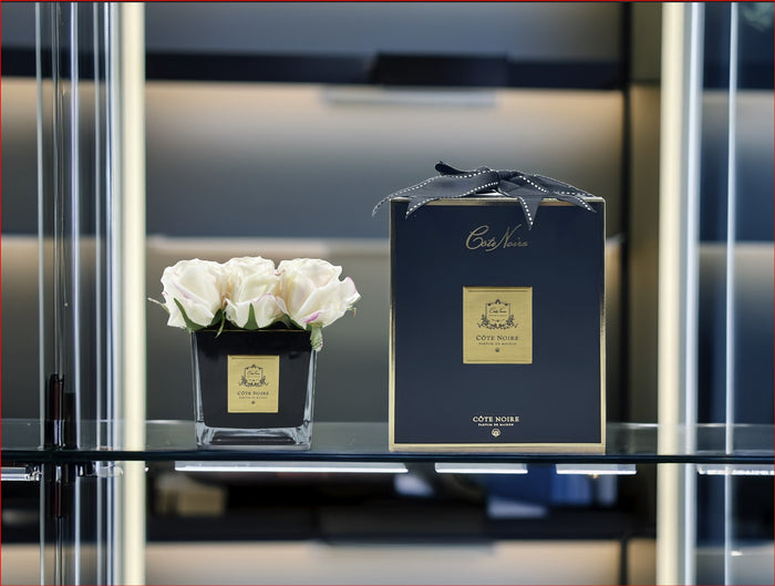 Côte Noire Cote Noire Couture Square 9 Rose Buds - Square Black Vase - Gold & Pink Blush - SVB902