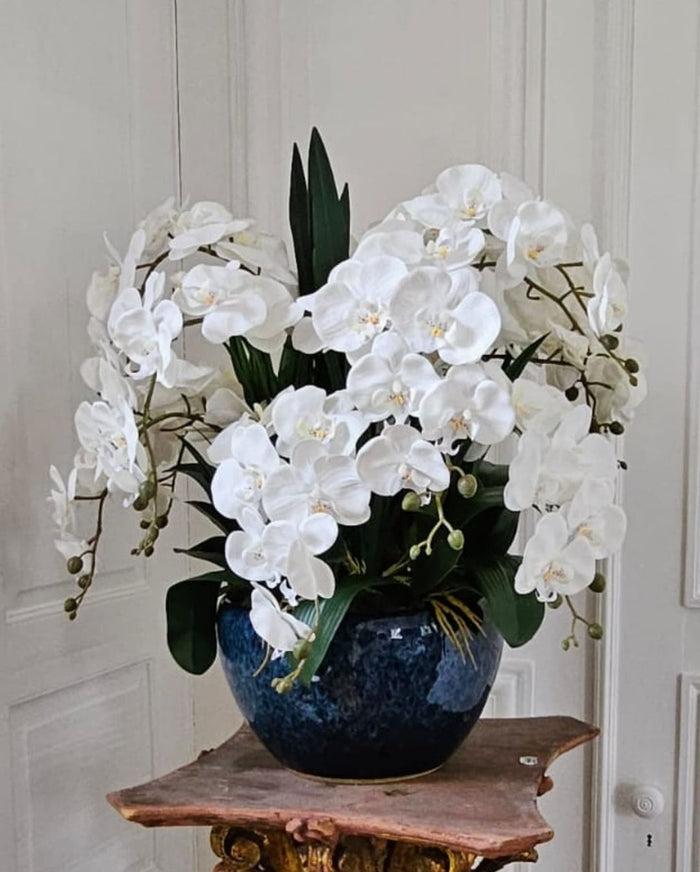 Côte Noire Cote Noire Luxury Giant Orchid Bouquet - White In Ceramic Vase - GO01