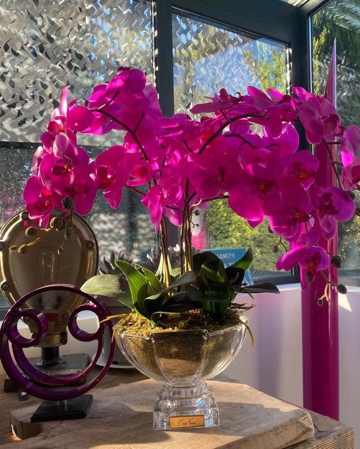 Côte Noire Cote Noire Luxury Orchid Centrepiece Bouquet - Fuchsia & Gold Badge - CPO09